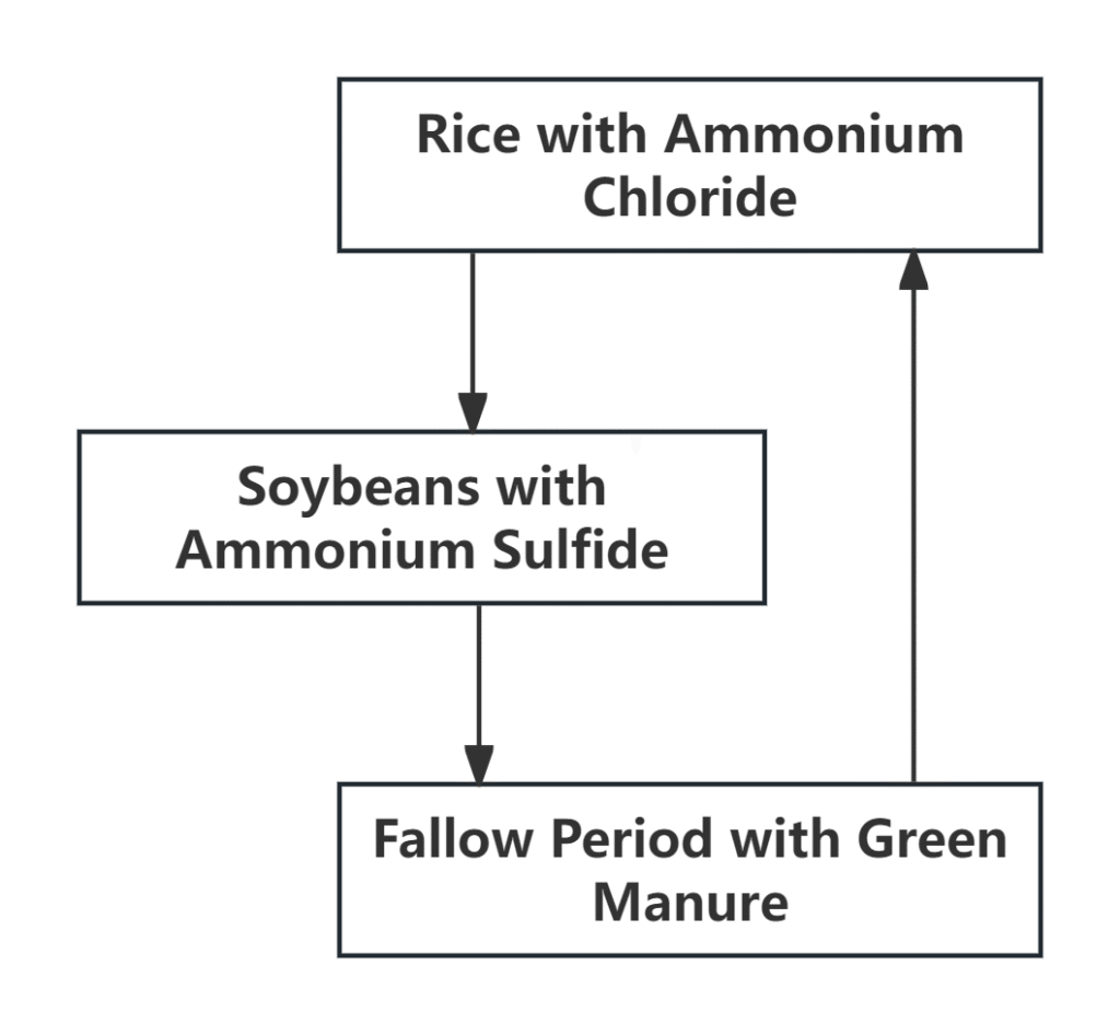 process diagram of crop rotation system