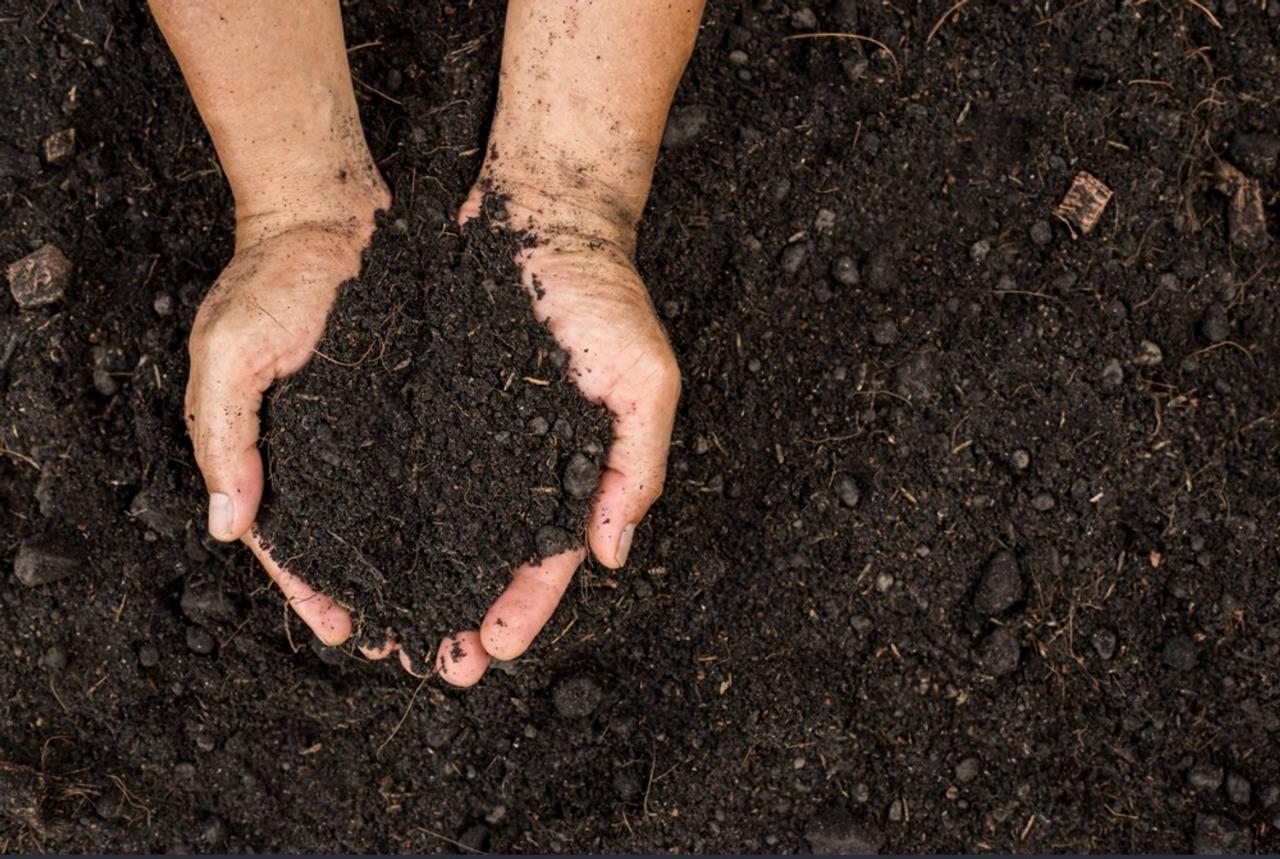 Fertile soil