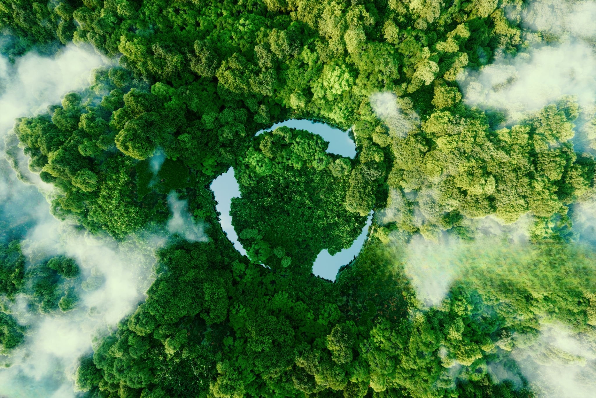 high biodegradability