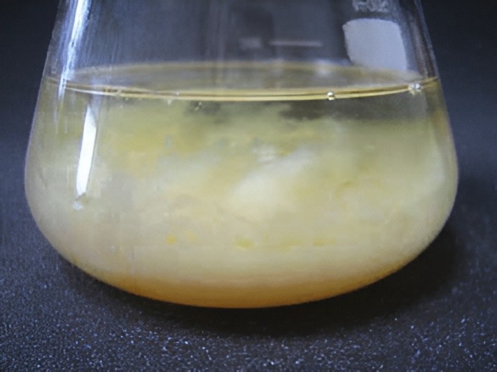 caustic soda for saponification