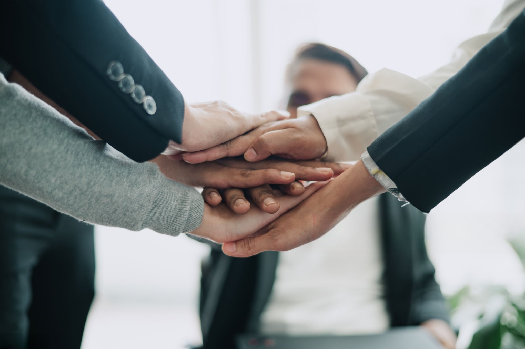 your colored speckles partner