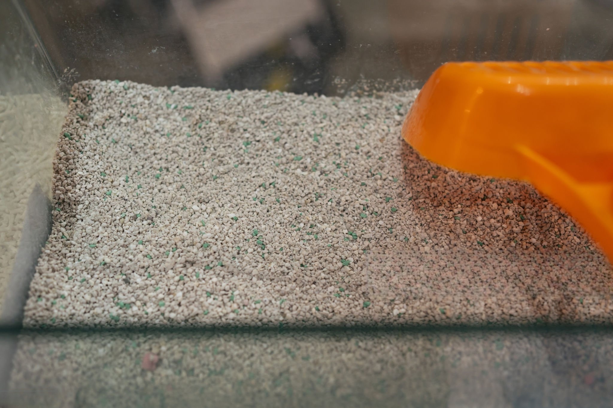 green colored speckles in cat litter