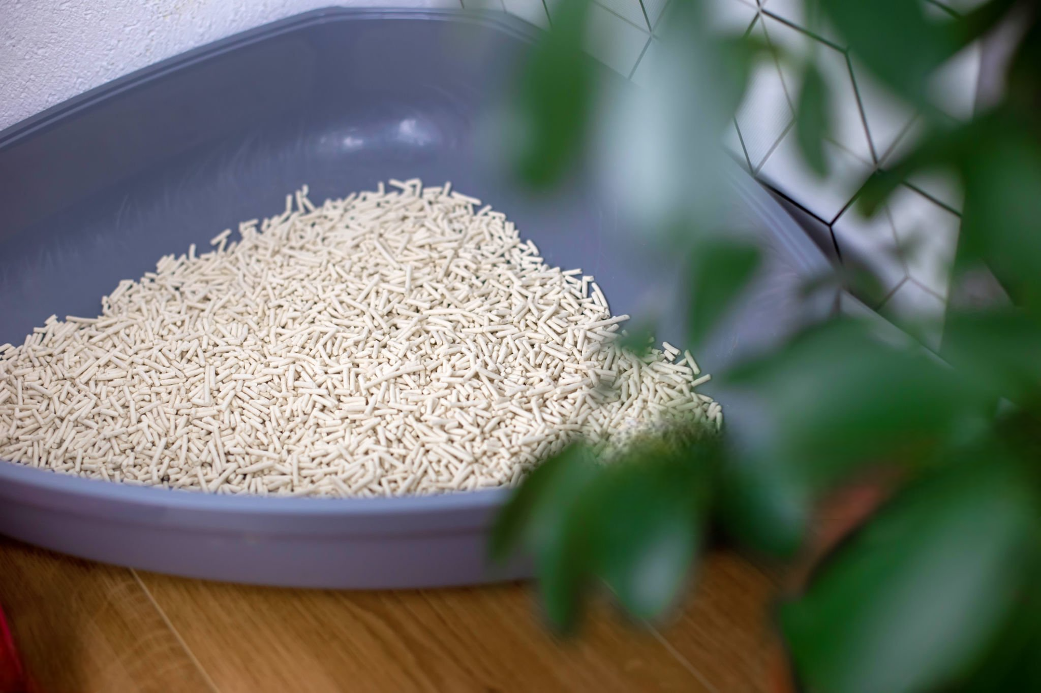 soda ash light in cat litter